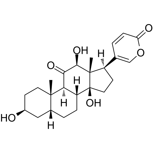 Bufarenogin 17008-65-0